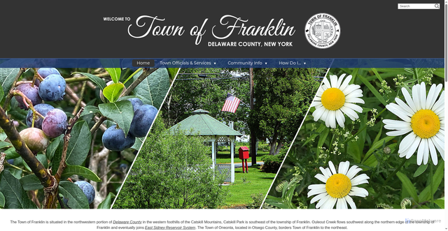 Security scan screenshot of https://franklindelco-ny.gov/