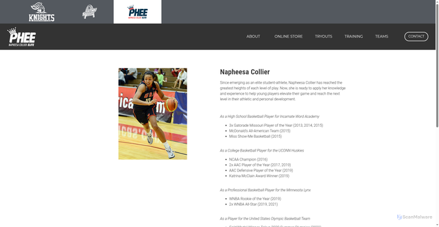 Security scan screenshot of https://phee-elite.com/napheesa-collier/