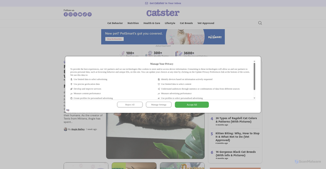 Security scan screenshot of https://catster.com