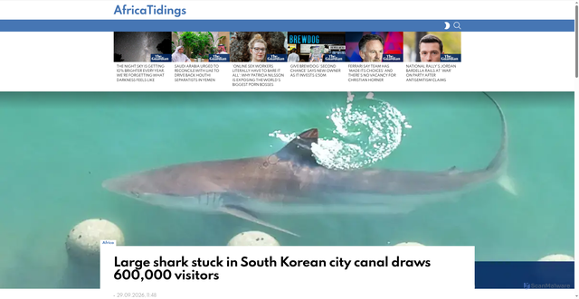 Security scan screenshot of https://africatidings.com/africa/large-shark-stuck-in-south-korean-city-canal-draws-600000-visitors/