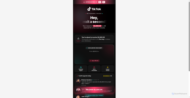 Security scan screenshot of http://otkdigitalacess.vercel.app/back-redirect/