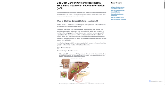 Security scan screenshot of https://www.cham.org/HealthwiseArticle.aspx?id=ncicdr0000258011