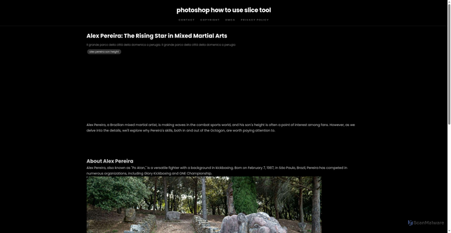 Security scan screenshot of https://insmoksitus-dpn3hanzk477.edgeone.app/alex-pereira-son-height.html