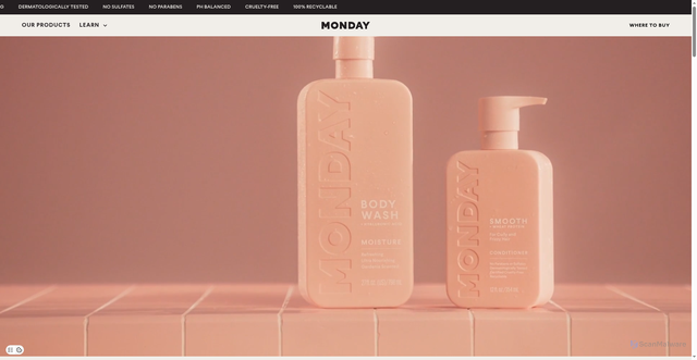 Security scan screenshot of https://mondayhaircare.com/