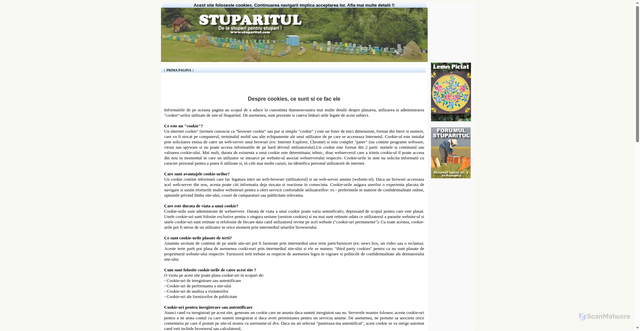 Security scan screenshot of https://stuparitul.com