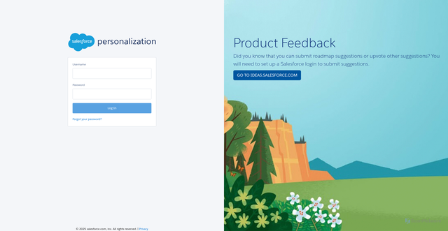 Security scan screenshot of https://carhartt.us-1.evergage.com/