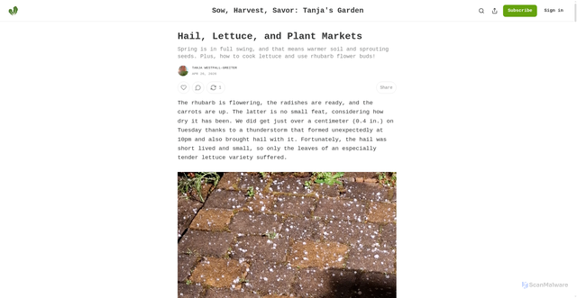 Security scan screenshot of https://tanjawestfallgreiter.substack.com/p/hail-lettuce-and-plant-markets