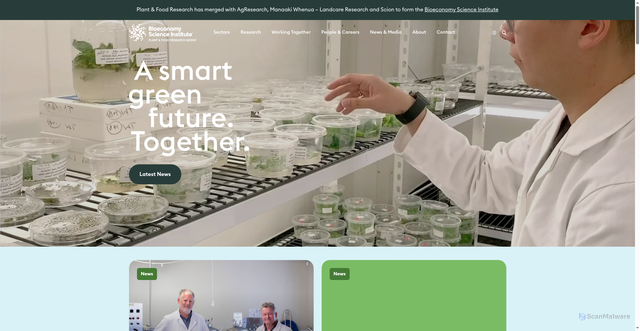 Security scan screenshot of https://www.plantandfood.com/