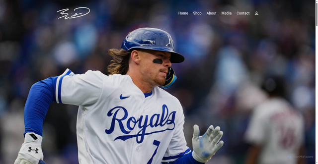 Security scan screenshot of https://bobbywittjr.co/