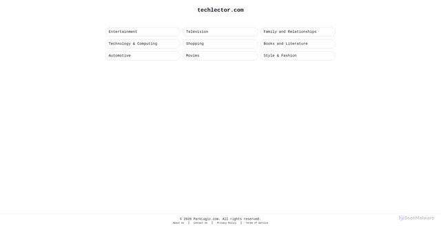 Security scan screenshot of https://techlector.com