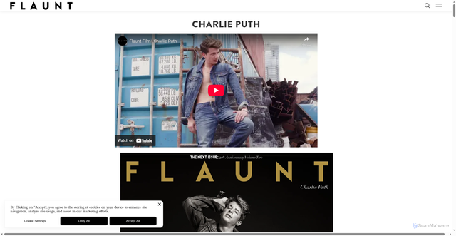 Security scan screenshot of https://www.flaunt.com/blog/charlie-puth