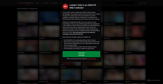 Security scan screenshot of https://www.lobstertube.com