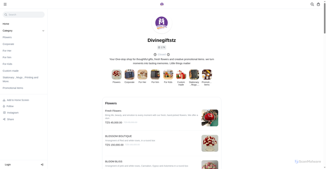 Security scan screenshot of https://divinegiftstz.com/