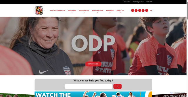 Security scan screenshot of https://www.msysa.org/