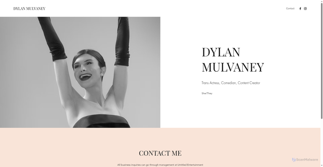 Security scan screenshot of https://www.dylanmulvaney.com/