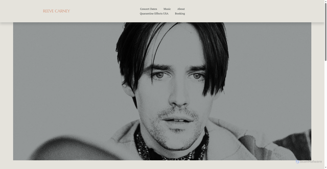 Security scan screenshot of https://www.reevecarney.com/