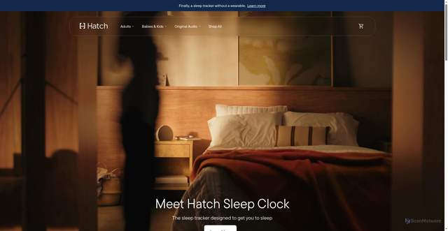 Security scan screenshot of https://www.hatch.co