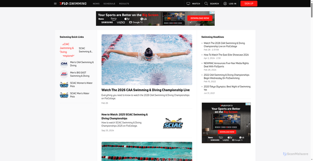Security scan screenshot of https://www.floswimming.com/
