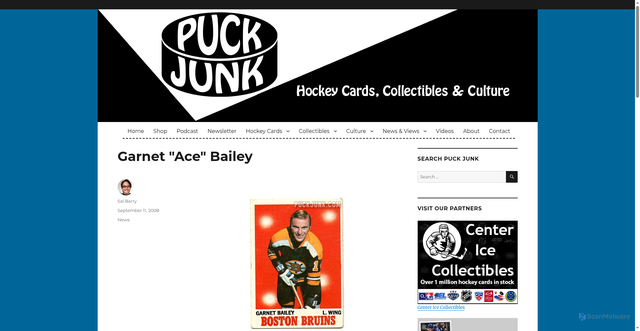 Security scan screenshot of https://puckjunk.com/2008/09/11/garnet-ace-bailey/
