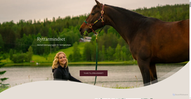 Security scan screenshot of https://annelieweinehall.se