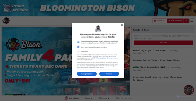 Security scan screenshot of https://bloomingtonbisonhockey.com/