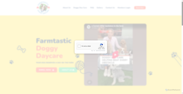 Security scan screenshot of https://farmtasticdoggy.com.au