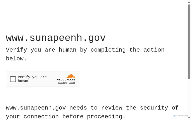 Security scan screenshot of https://www.sunapeenh.gov/
