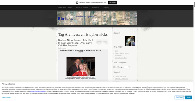 Security scan screenshot of https://rinburbs.wordpress.com/tag/christopher-nicks/