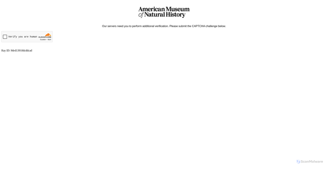 Security scan screenshot of https://amnh.org