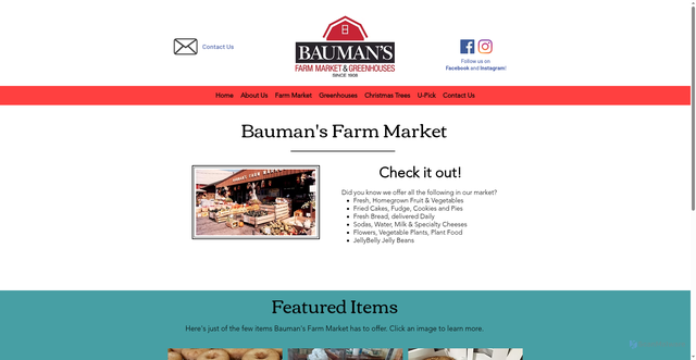 Security scan screenshot of https://www.baumansfarmmarket.com/farm-market