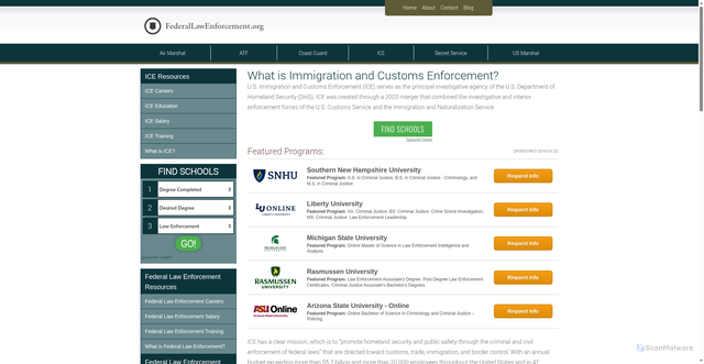 Security scan screenshot of https://www.federallawenforcement.org/ice/what-is-ice/