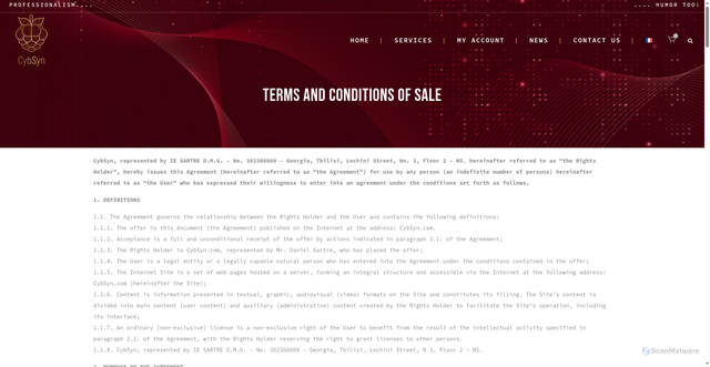 Security scan screenshot of https://cybsyn.com/en/terms-and-conditions-of-sale/