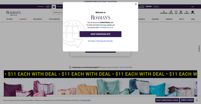 Security scan screenshot of https://roamans.com