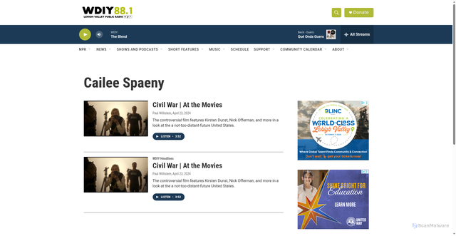 Security scan screenshot of https://www.wdiy.org/tags/cailee-spaeny