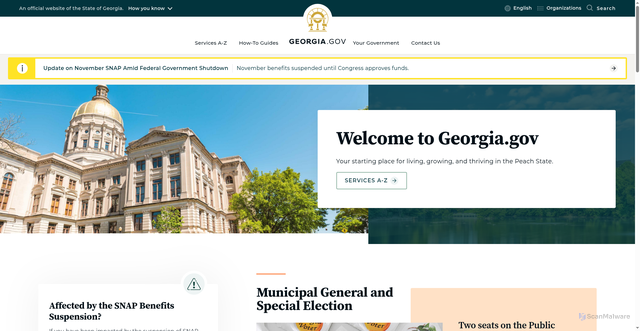 Security scan screenshot of https://georgia.gov/
