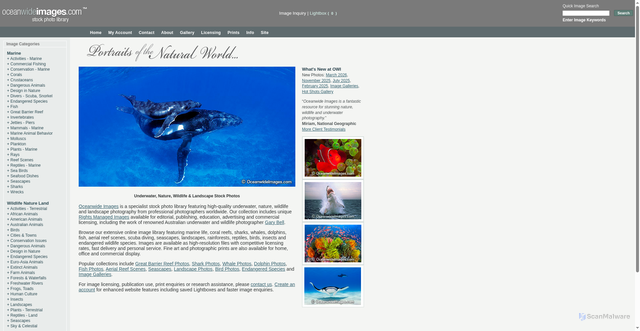 Security scan screenshot of https://www.oceanwideimages.com