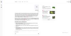 Screenshot of antonkronaj-dev.pages.dev