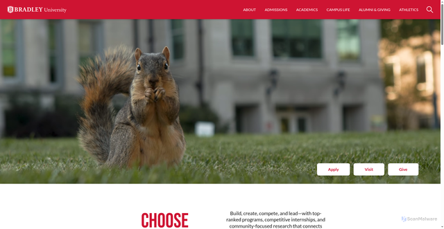 Security scan screenshot of https://bradley.edu