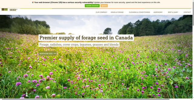 Security scan screenshot of https://intelseed.ca