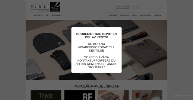 Security scan screenshot of https://broderiet.se