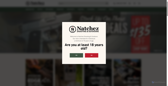Security scan screenshot of https://www.natchezss.com