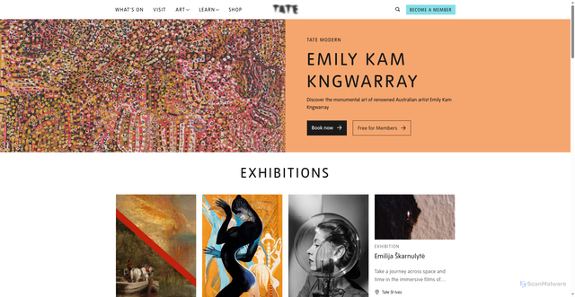 Security scan screenshot of https://www.tate.org.uk/