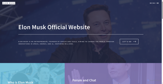 Security scan screenshot of https://investinmusk.com/