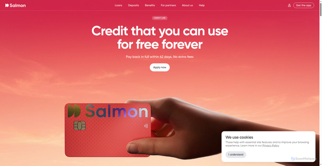 Security scan screenshot of https://salmon.ph