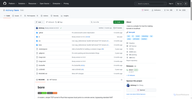 Security scan screenshot of http://bore.pub/