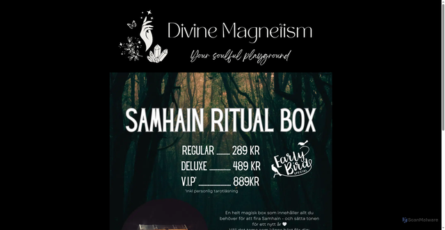 Security scan screenshot of https://divinemagnetism.se