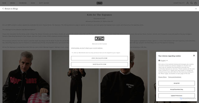 Security scan screenshot of https://ca.kith.com/blogs/discover/kith-for-the-sopranos