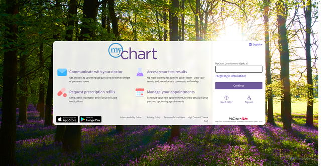 Security scan screenshot of https://mychart.spartanburgregional.com