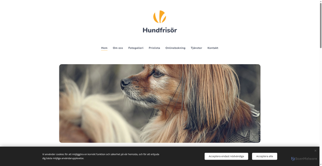 Security scan screenshot of https://david-hundsalong.se