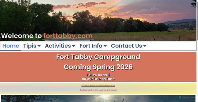 Security scan screenshot of http://forttabby.com/
